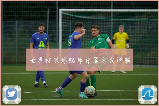 世界杯买球赔率计算方式详解