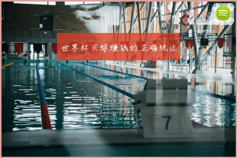 世界杯买球赚钱的正确玩法