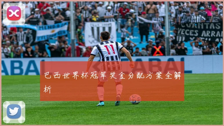 巴西世界杯冠军奖金分配方案全解析