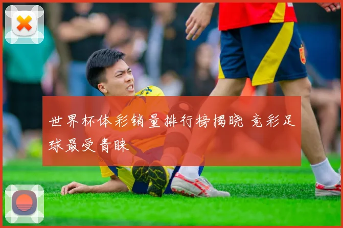 世界杯体彩销量排行榜揭晓 竞彩足球最受青睐
