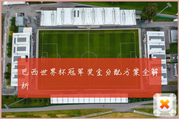 巴西世界杯冠军奖金分配方案全解析