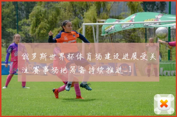 俄罗斯世界杯体育场建设进展受关注 赛事场地筹备持续推进_1