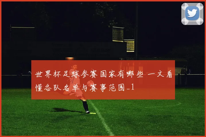 世界杯足球参赛国家有哪些 一文看懂各队名单与赛事范围_1