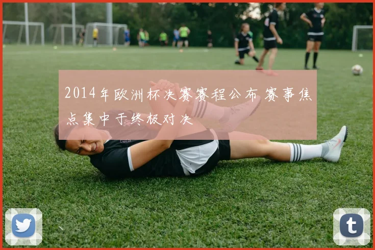 2014年欧洲杯决赛赛程公布 赛事焦点集中于终极对决