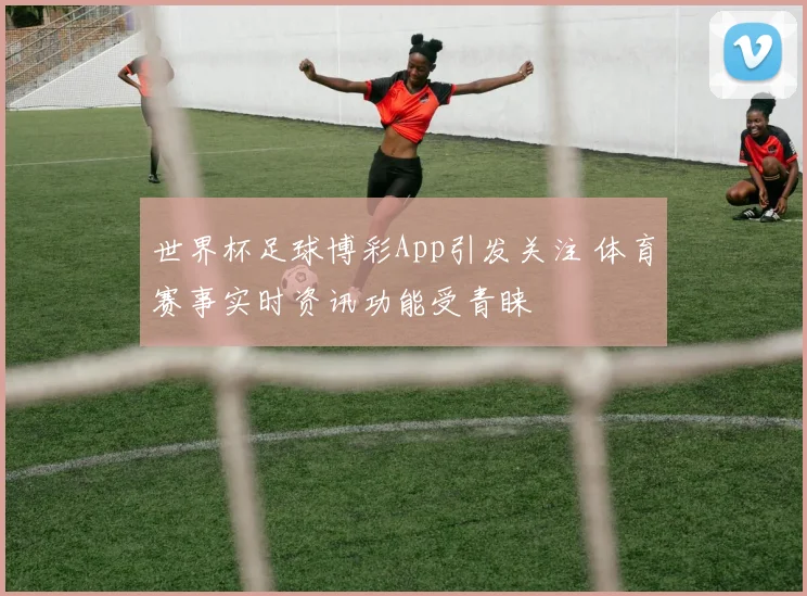 世界杯足球博彩App引发关注 体育赛事实时资讯功能受青睐