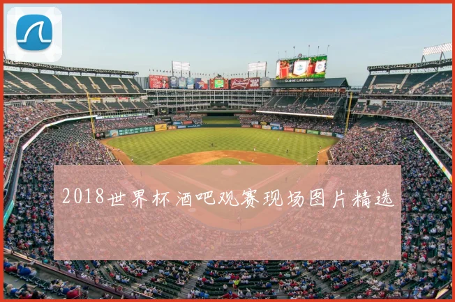 2018世界杯酒吧观赛现场图片精选