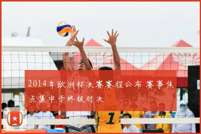 2014年欧洲杯决赛赛程公布 赛事焦点集中于终极对决