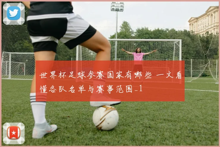世界杯足球参赛国家有哪些 一文看懂各队名单与赛事范围_1