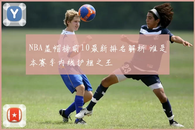 NBA盖帽榜前10最新排名解析 谁是本赛季内线护框之王